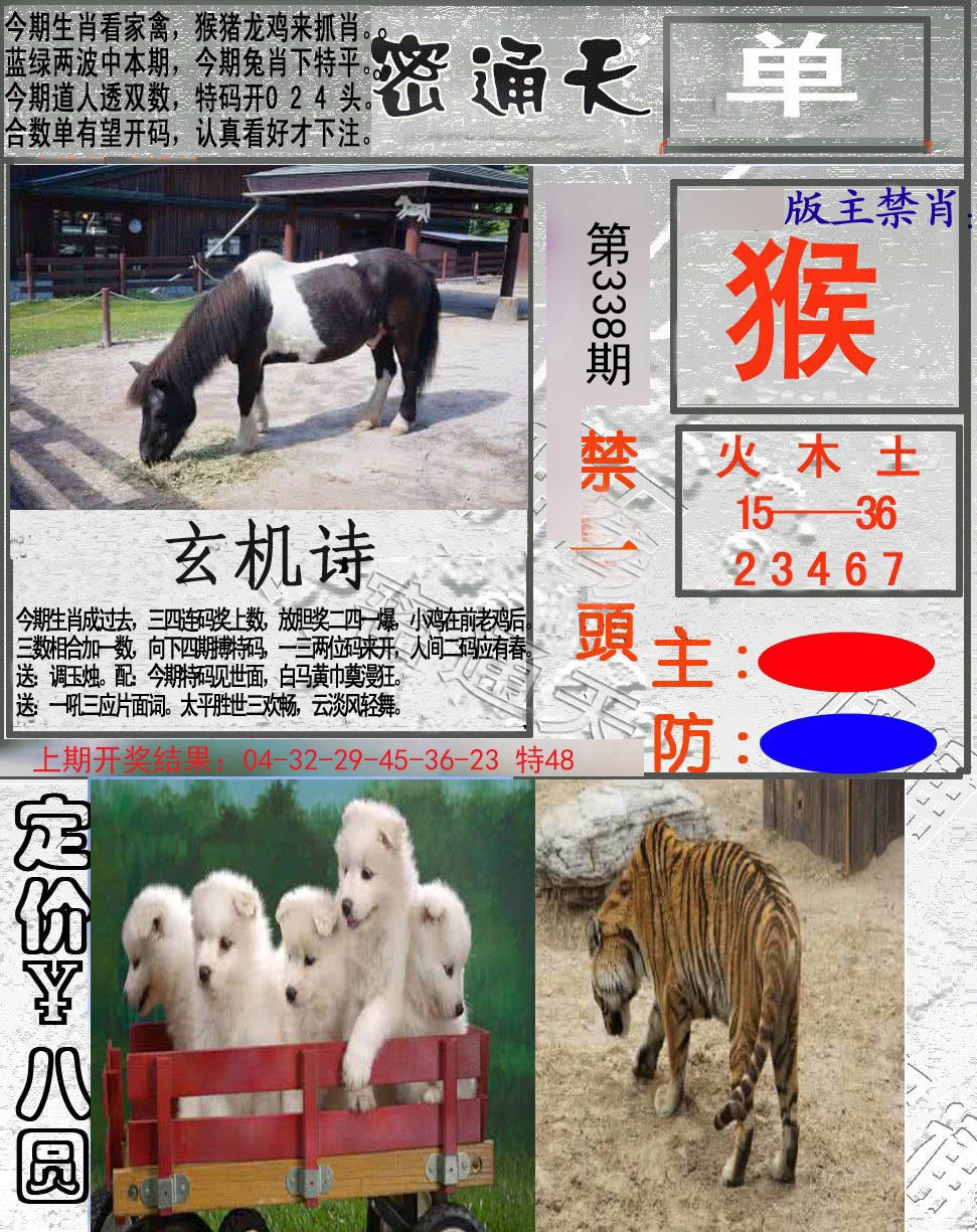2024338期密通天