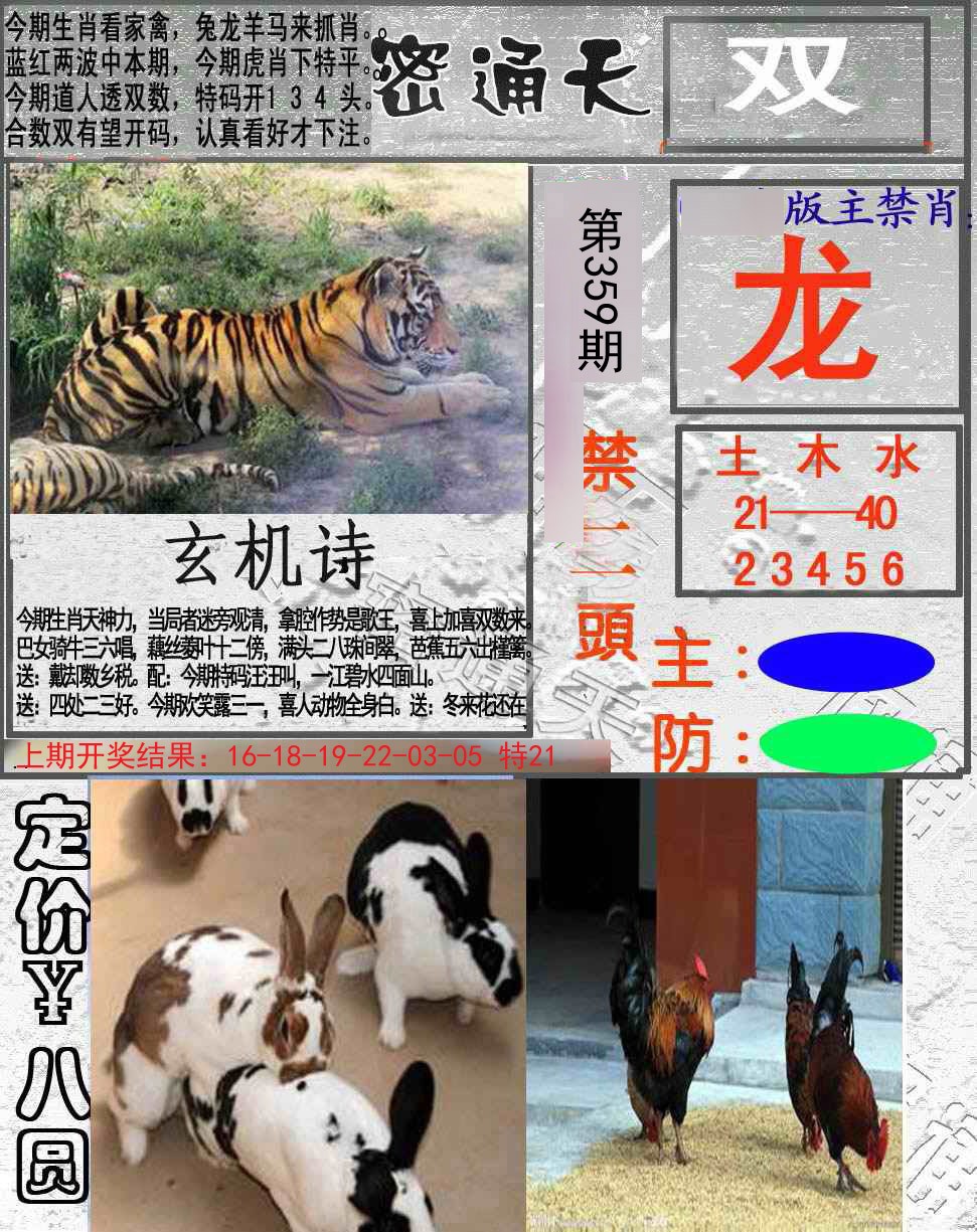 2024359期密通天