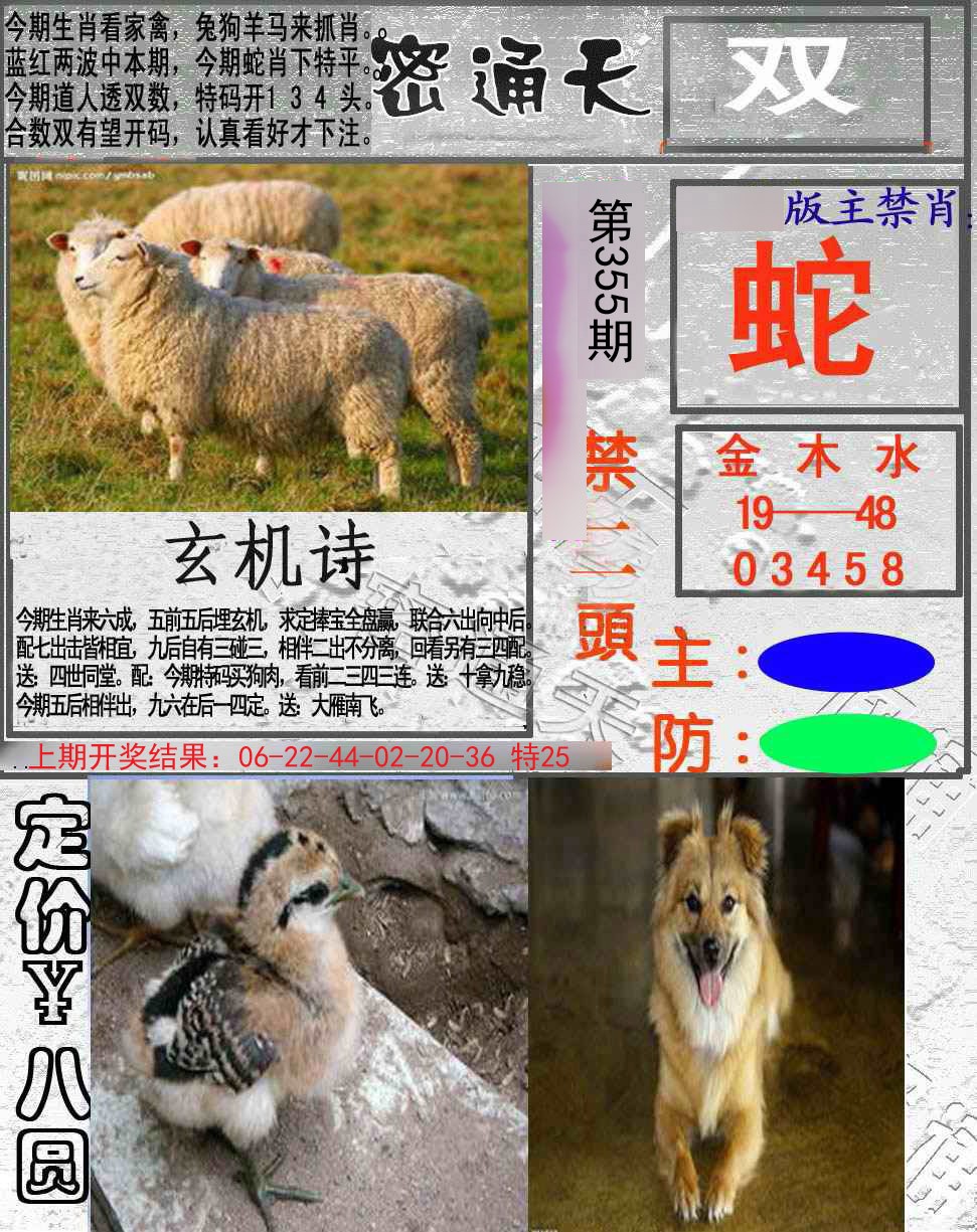 2024355期密通天