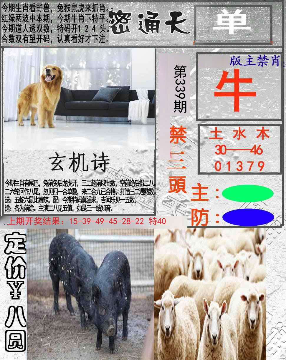2024339期密通天