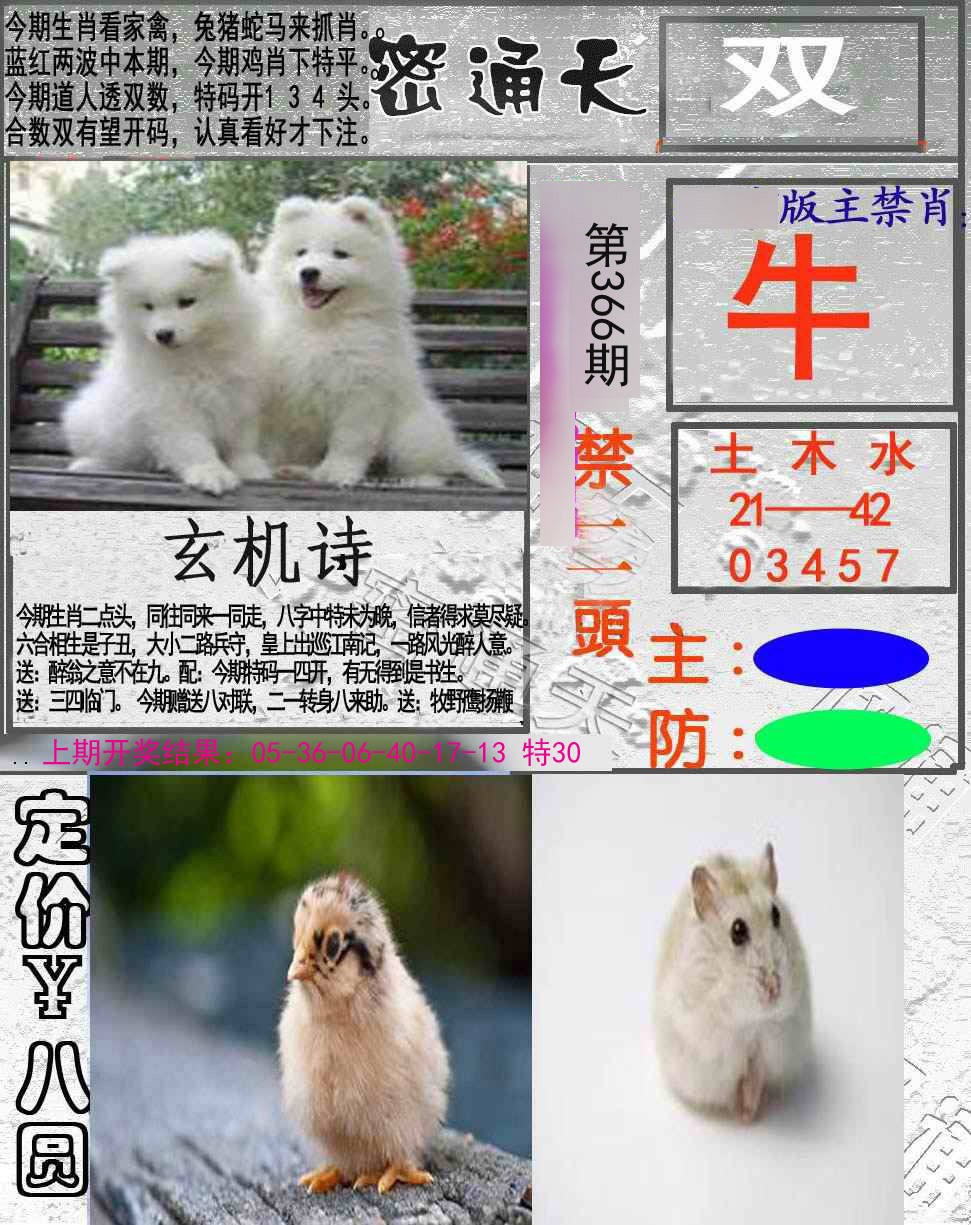 2024366期密通天