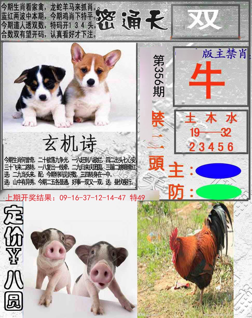 2024356期密通天