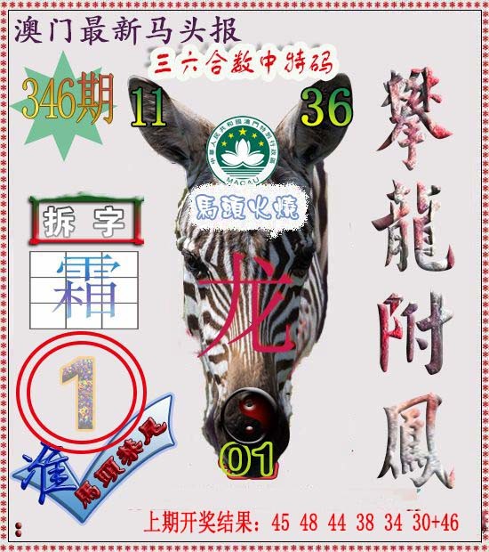 2024346期马头报