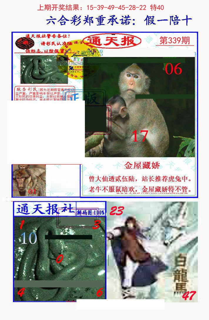2024339期假一陪十通天报