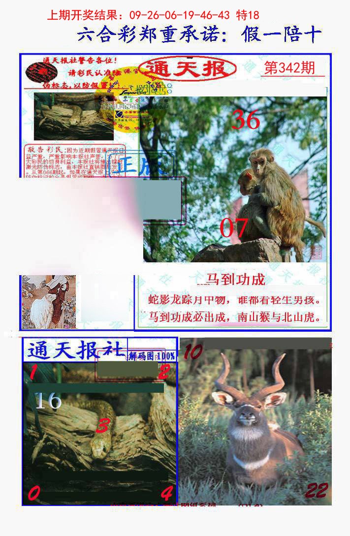 2024342期假一陪十通天报