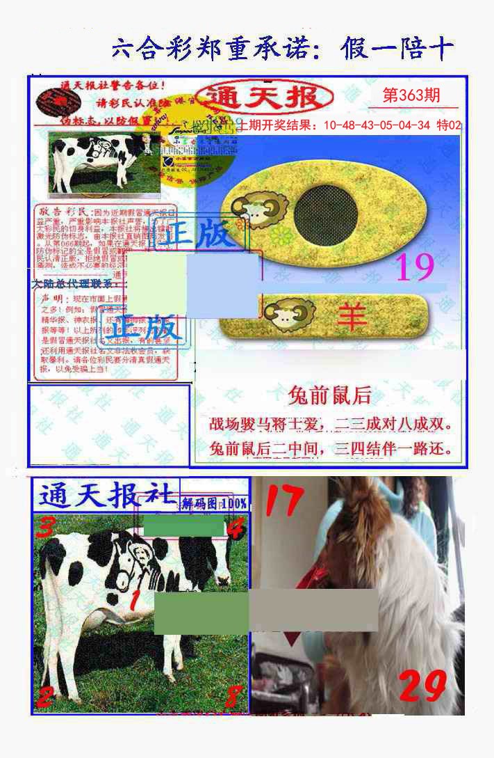 2024363期假一陪十通天报