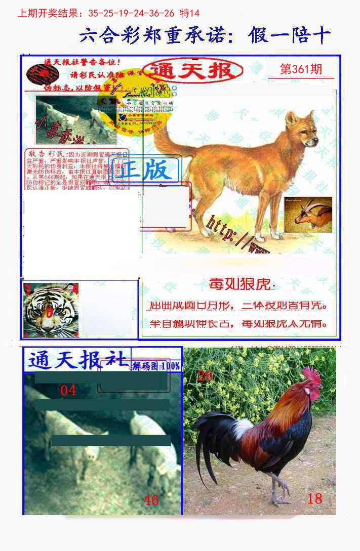 2024361期假一陪十通天报