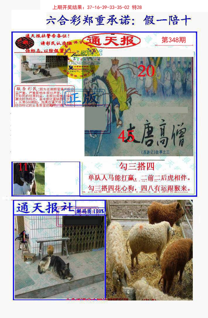 2024348期假一陪十通天报