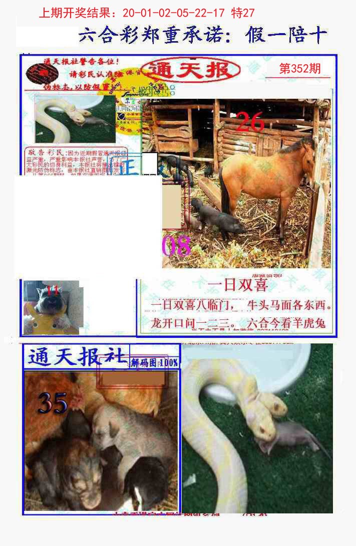 2024352期假一陪十通天报