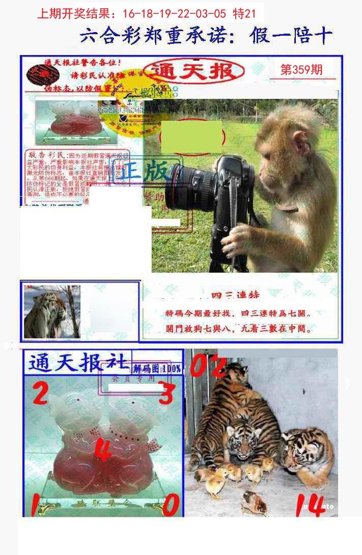 2024359期假一陪十通天报