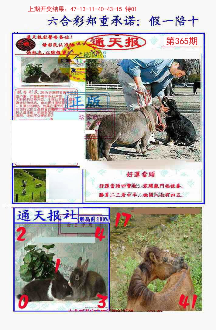 2024365期假一陪十通天报