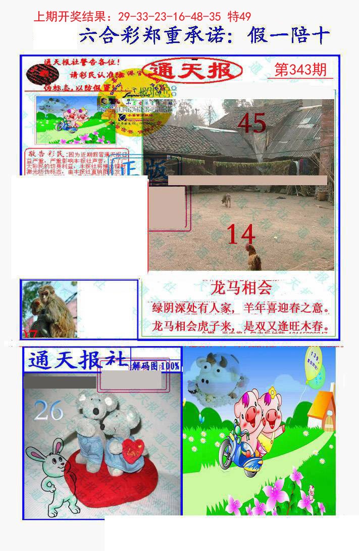 2024343期假一陪十通天报