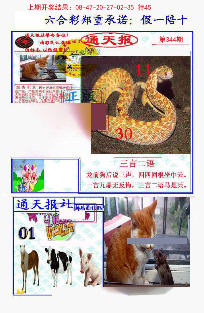 2024344期假一陪十通天报