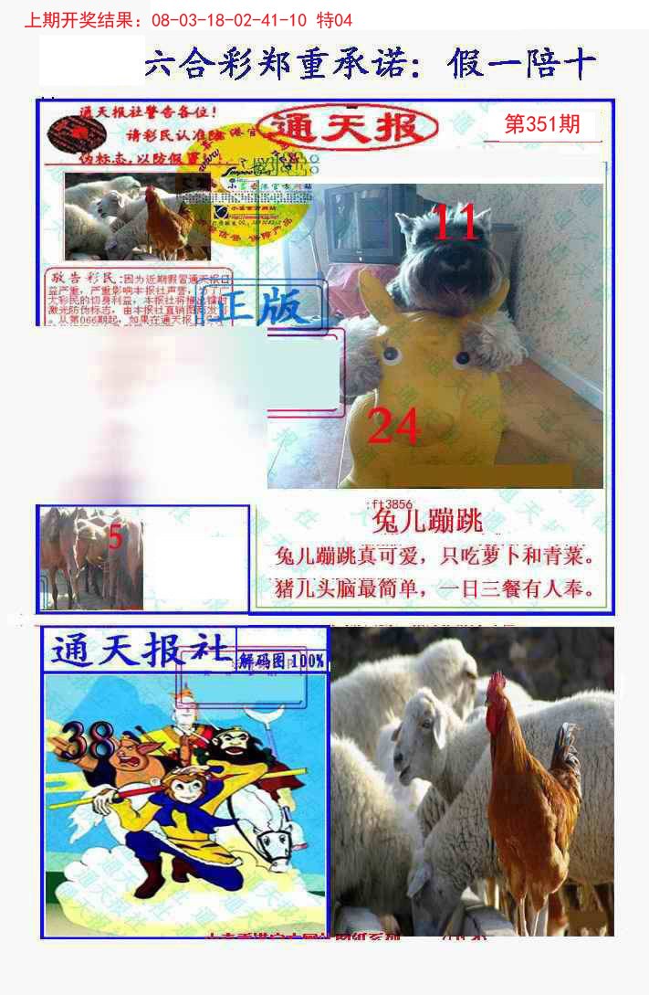 2024351期假一陪十通天报