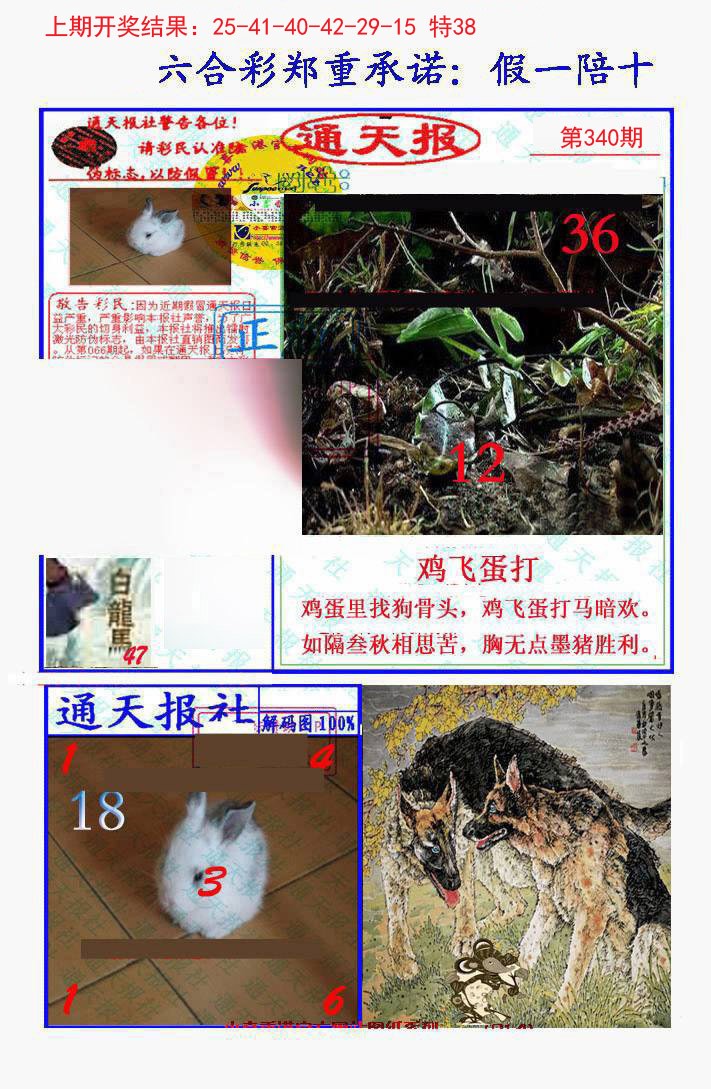 2024340期假一陪十通天报