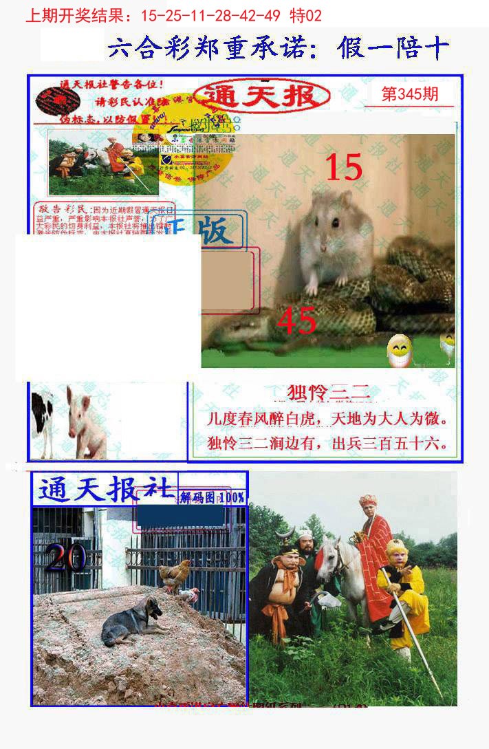2024345期假一陪十通天报