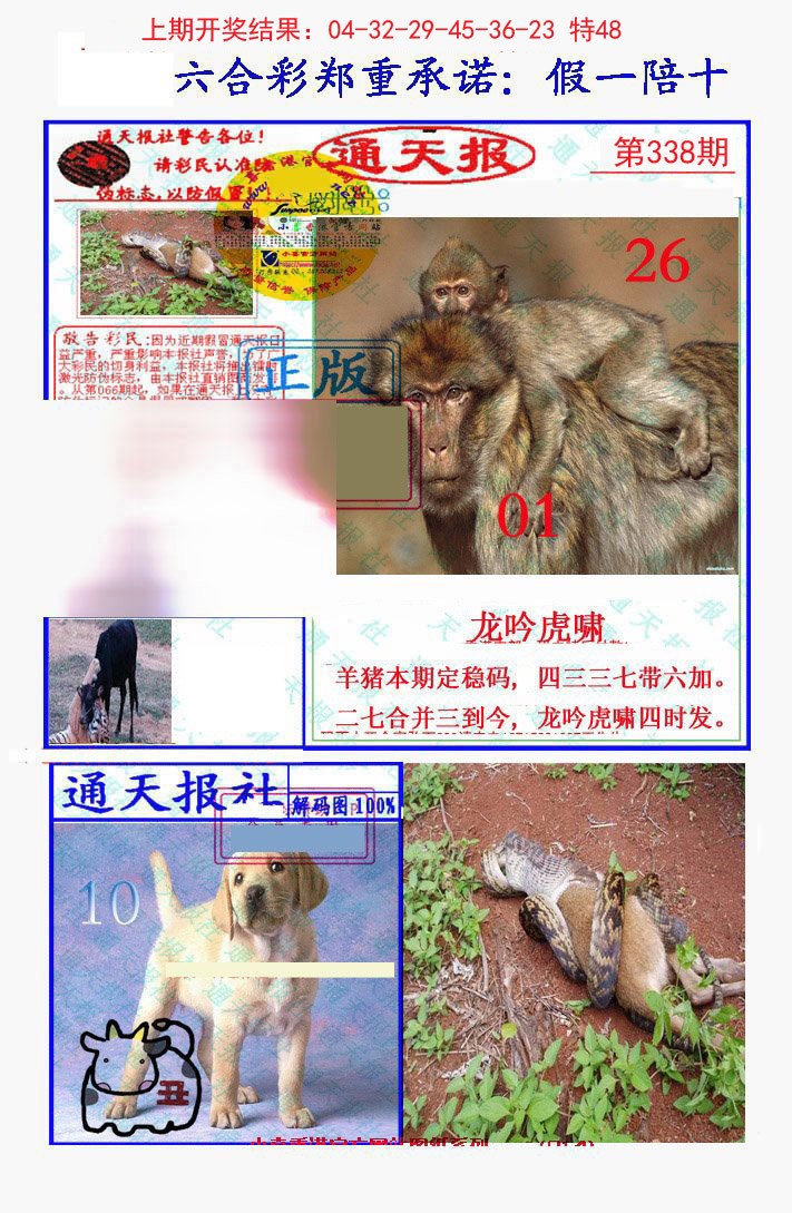2024338期假一陪十通天报
