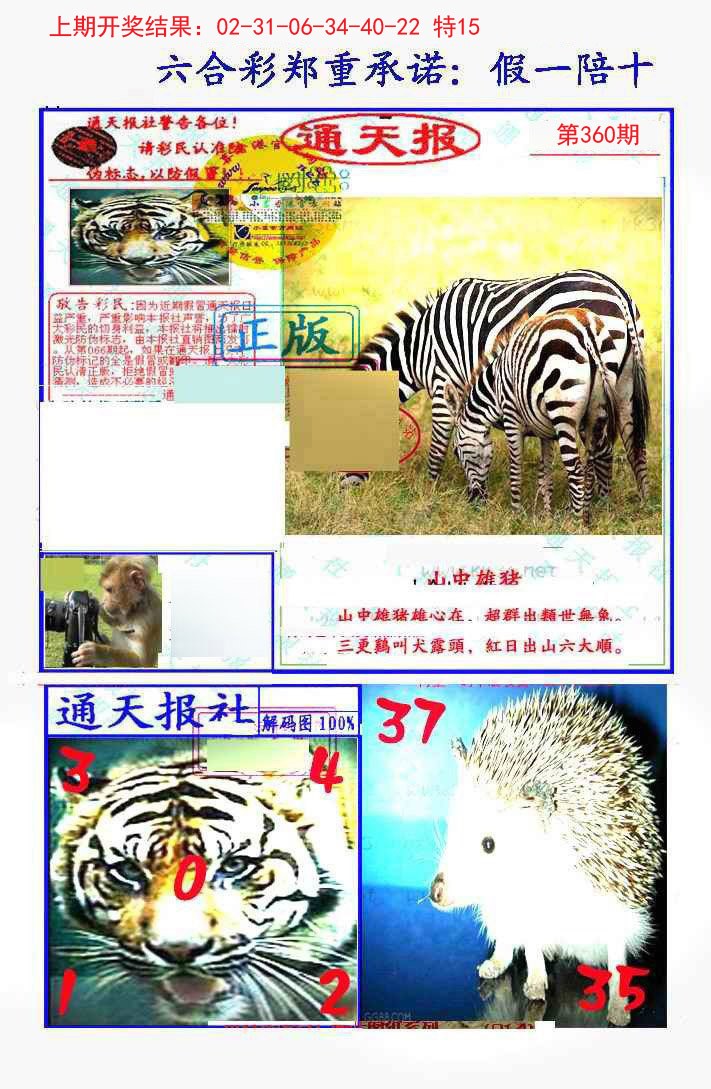 2024360期假一陪十通天报