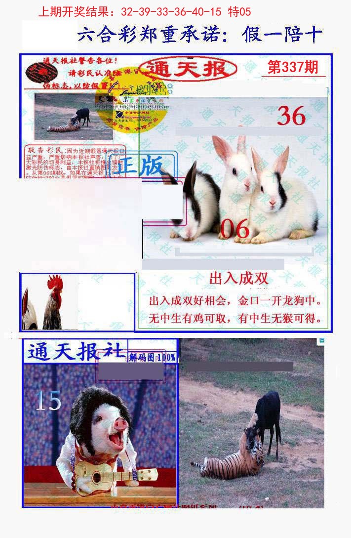 2024337期假一陪十通天报