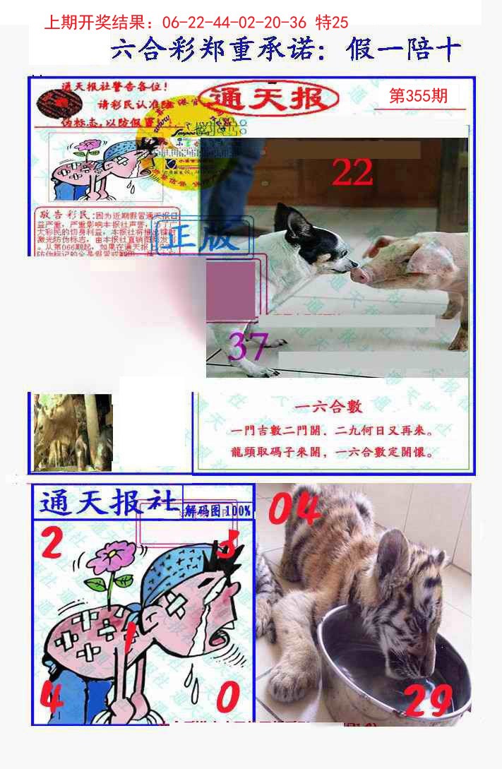 2024355期假一陪十通天报