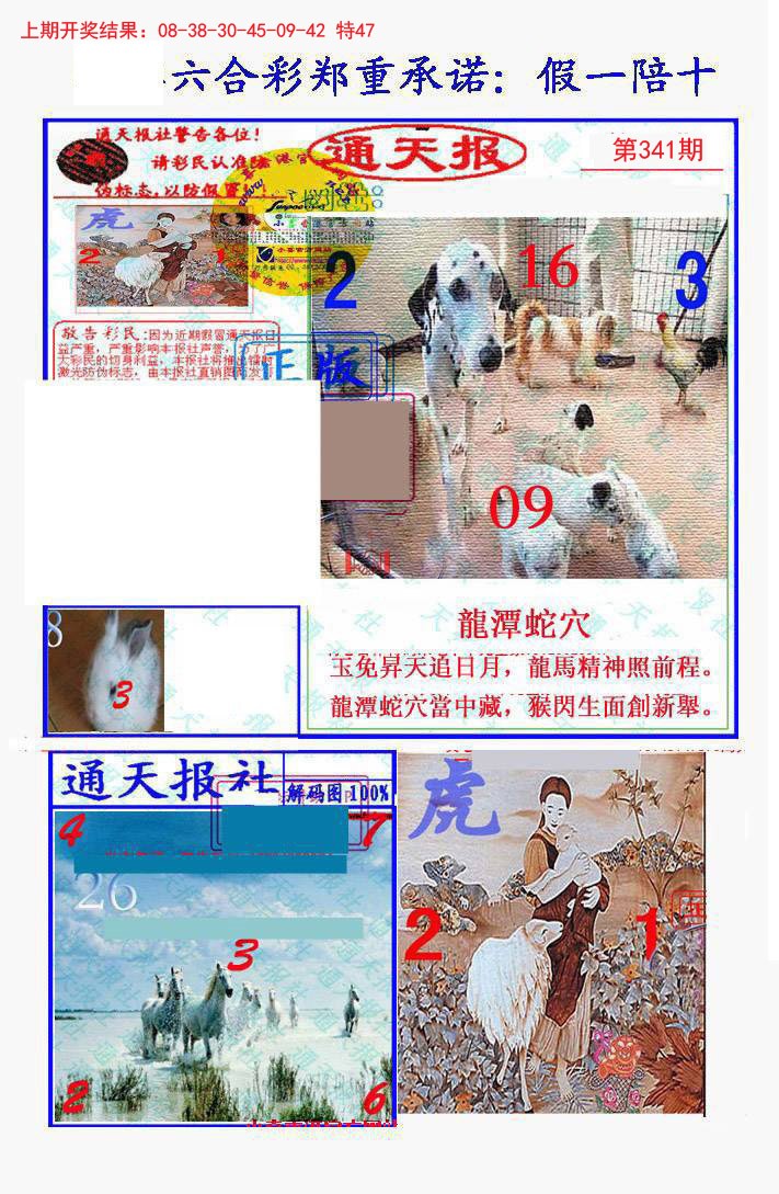2024341期假一陪十通天报