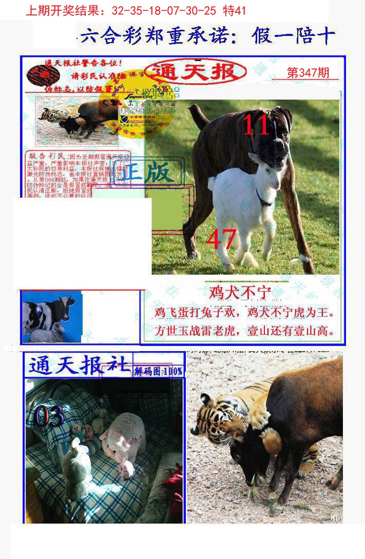 2024347期假一陪十通天报