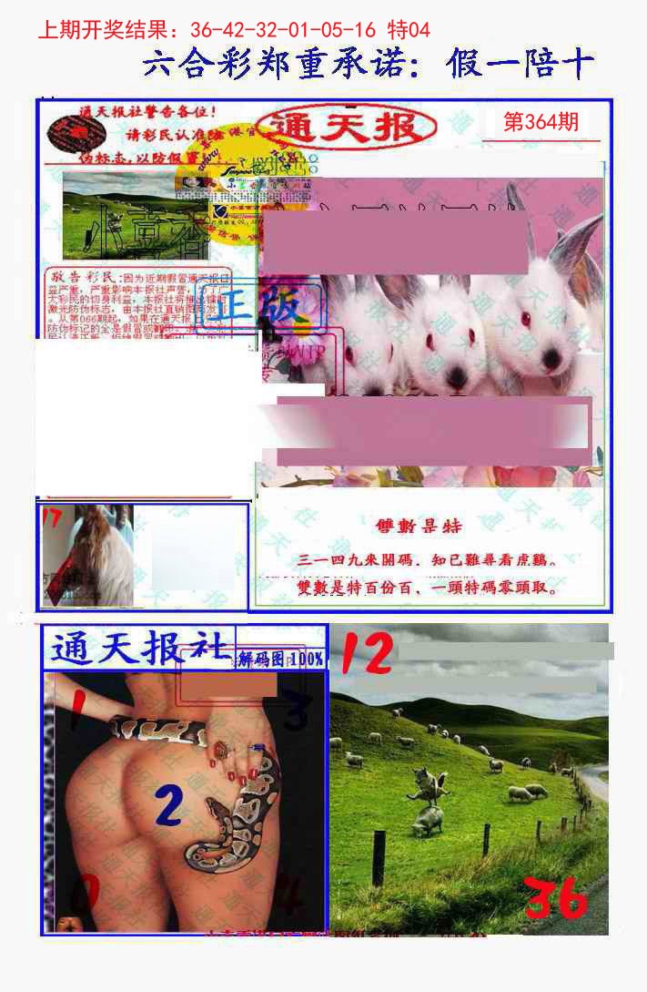 2024364期假一陪十通天报