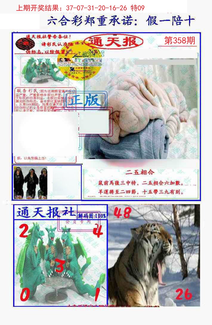 2024358期假一陪十通天报