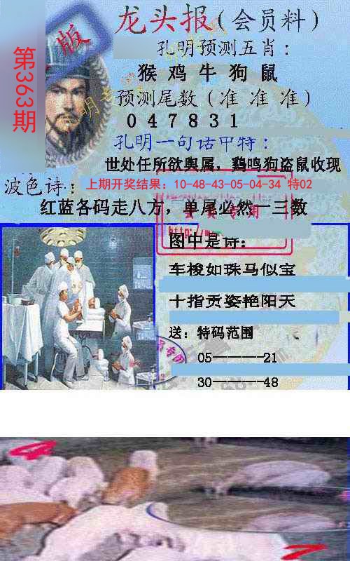 2024363期龙头报
