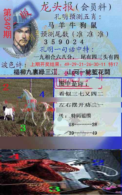 2024349期龙头报