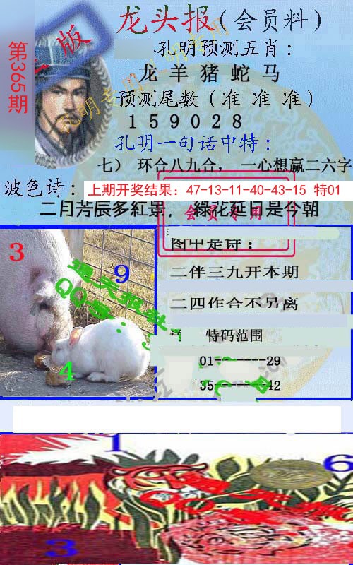 2024365期龙头报