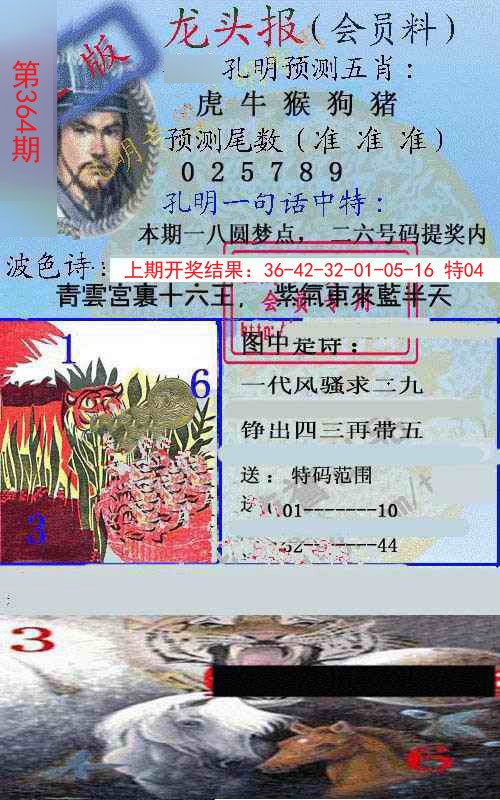 2024364期龙头报