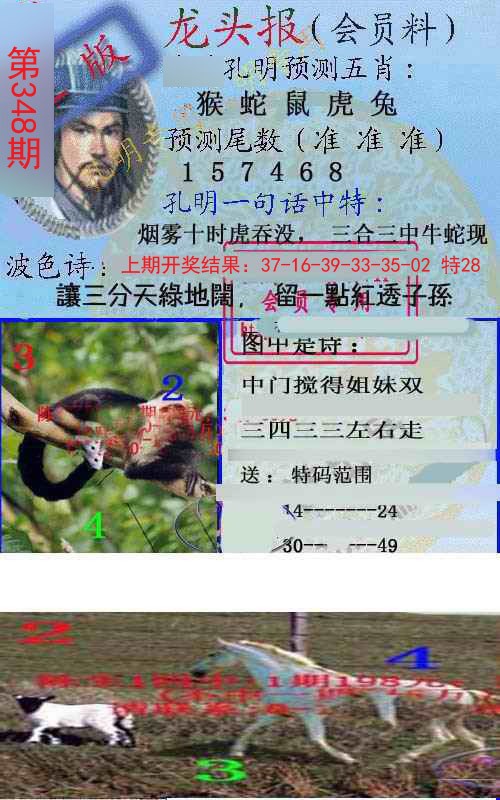 2024348期龙头报