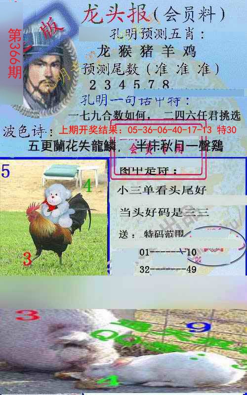 2024366期龙头报