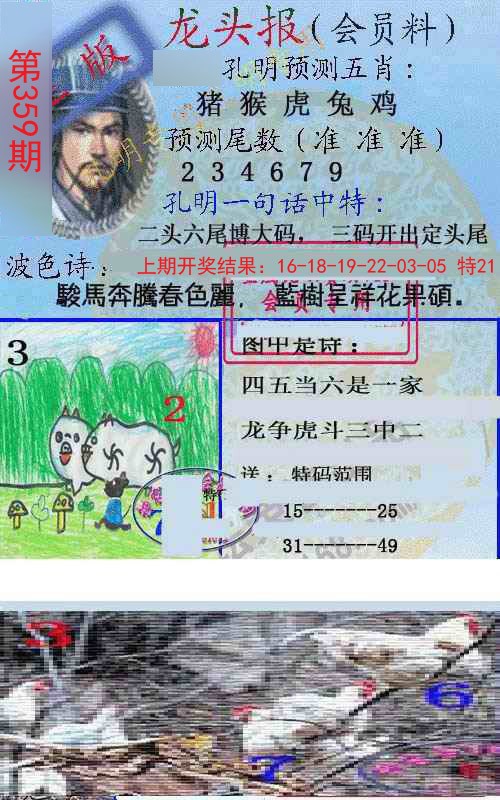 2024359期龙头报