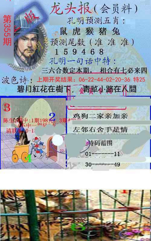 2024355期龙头报