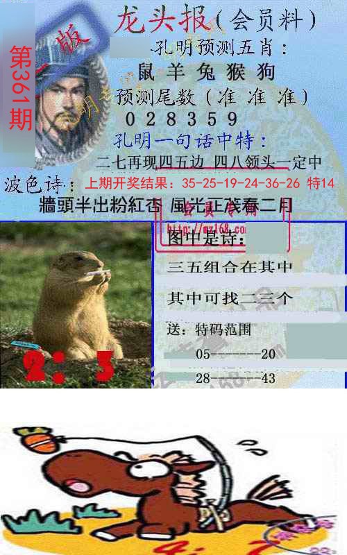 2024361期龙头报