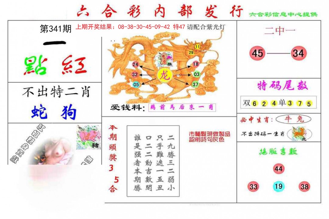 2024341期一点红