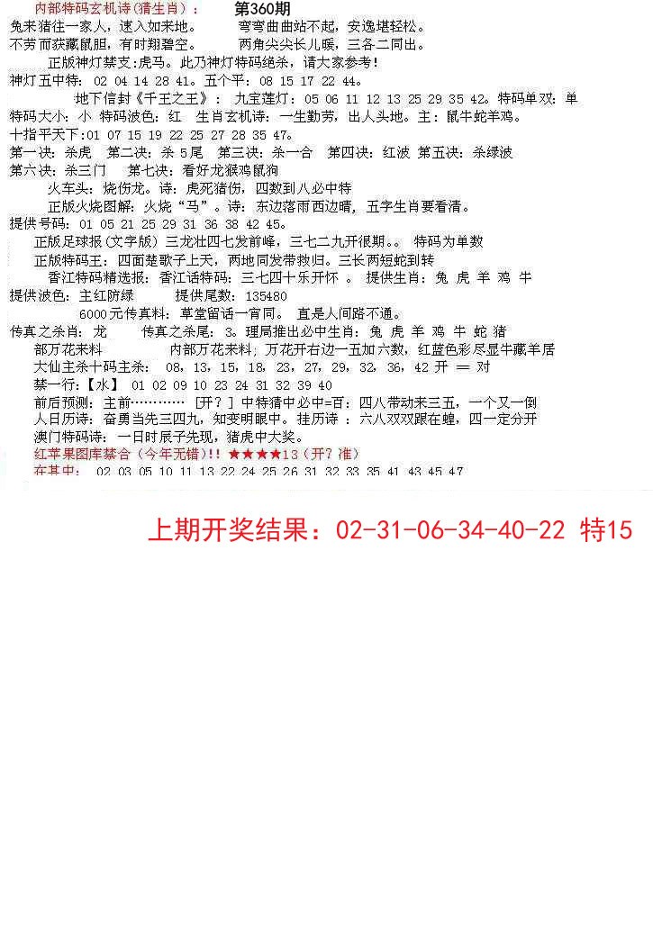 2024360期五星报B