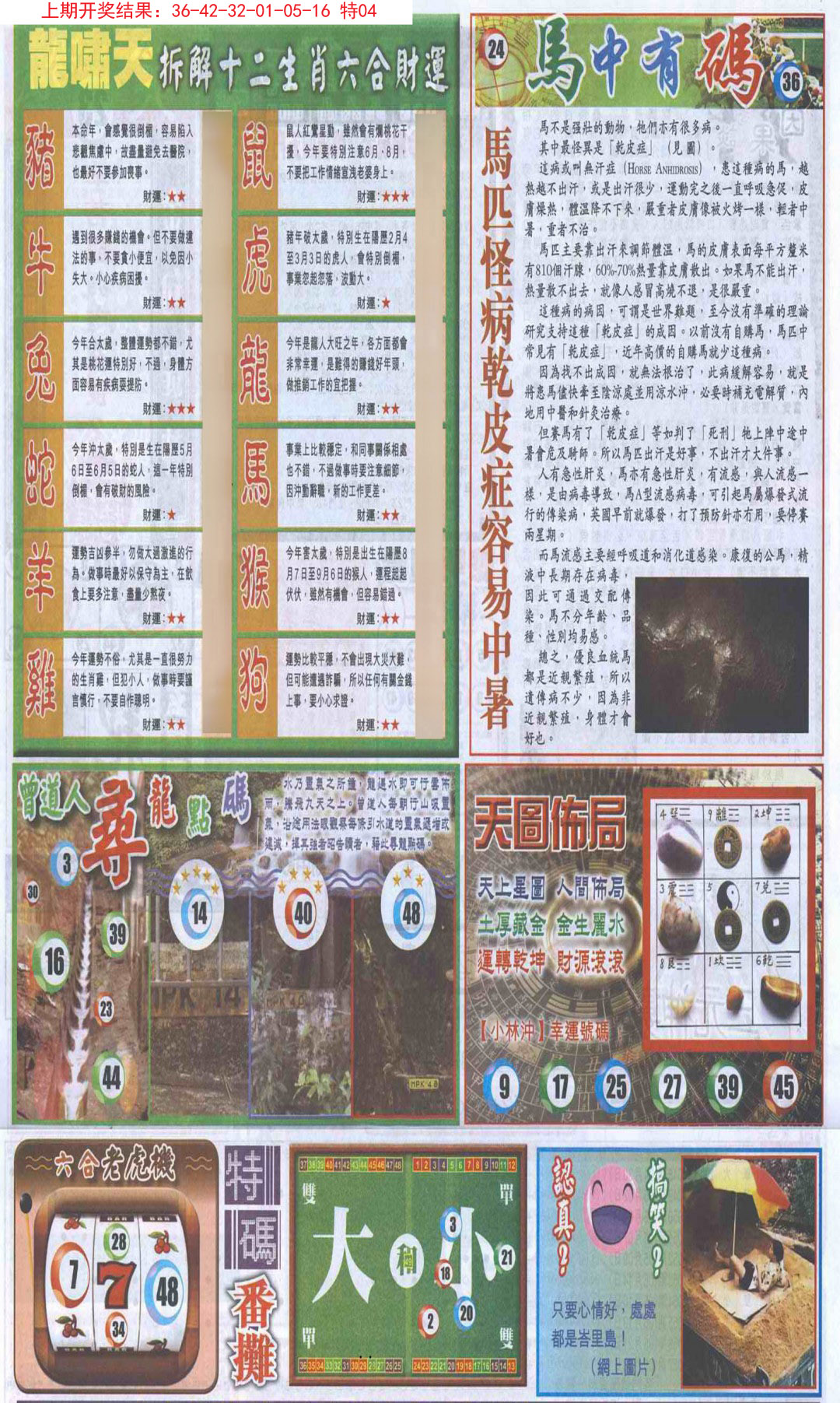 2024364期新报跑狗B