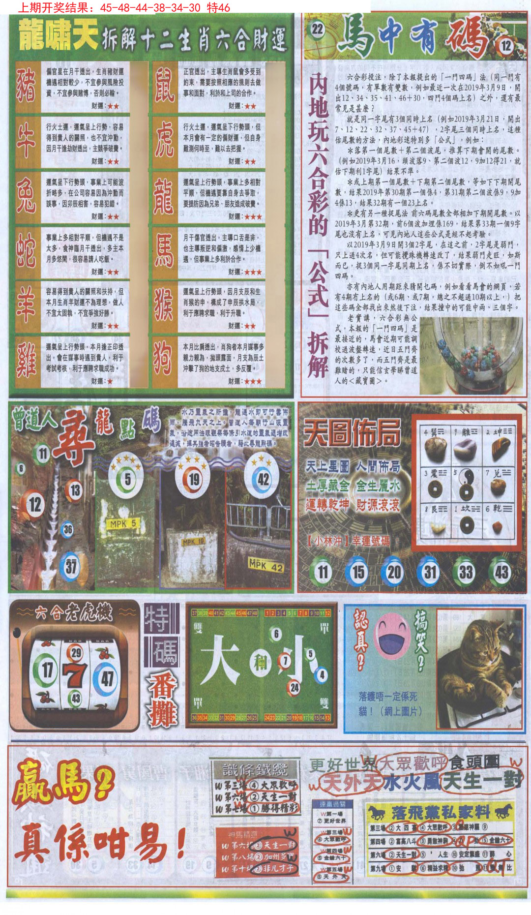 2024346期新报跑狗B
