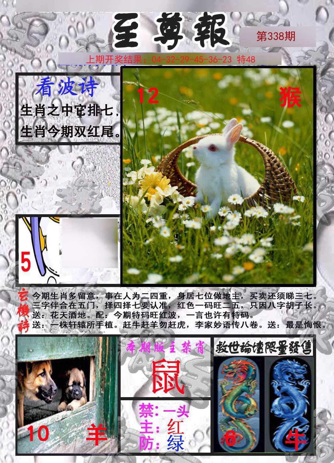 2024338期至尊报