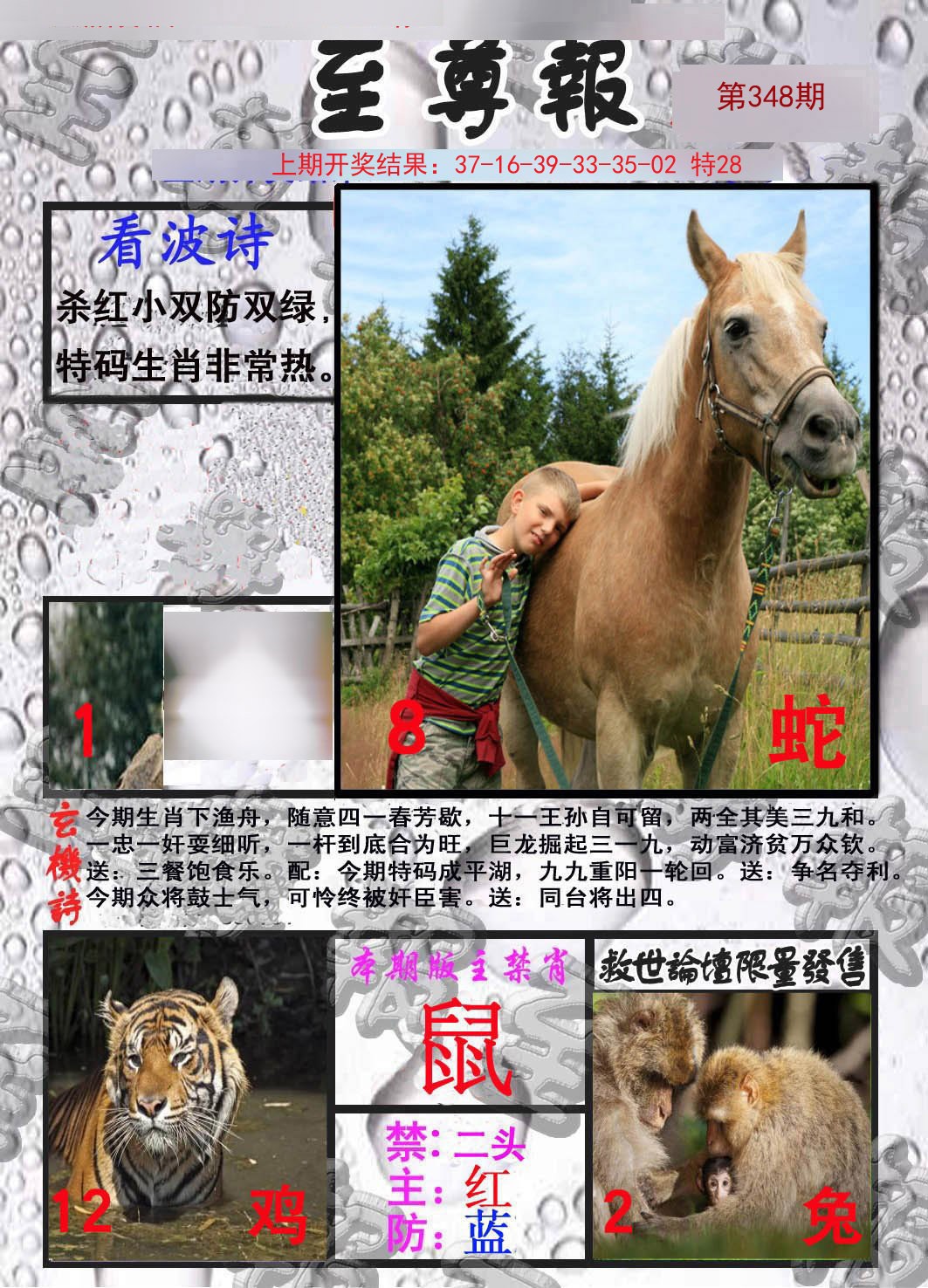 2024348期至尊报