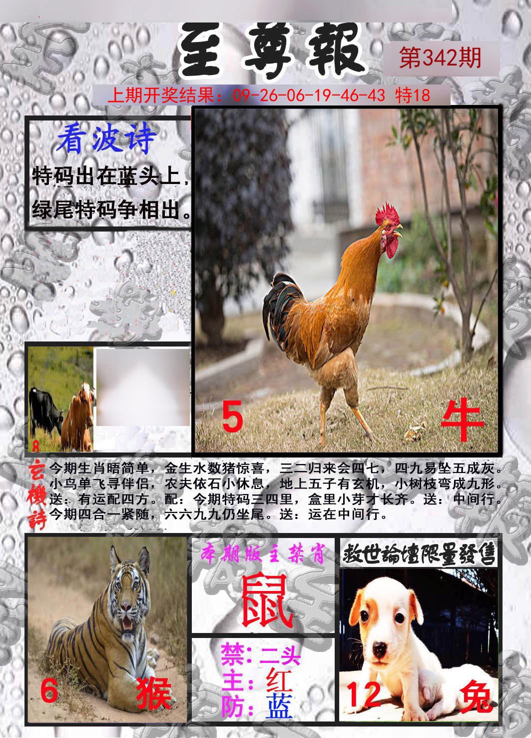2024342期至尊报