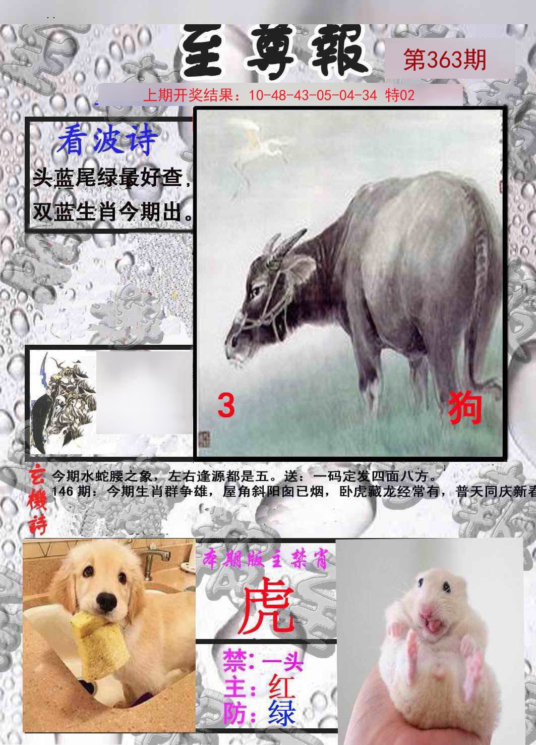 2024363期至尊报
