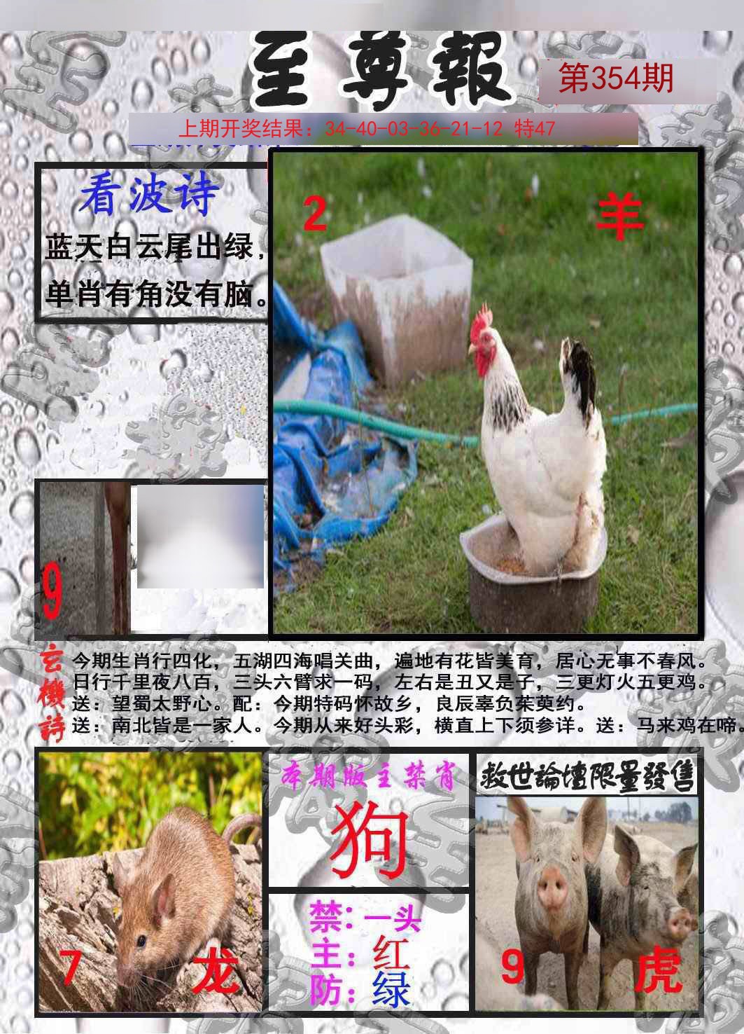2024354期至尊报