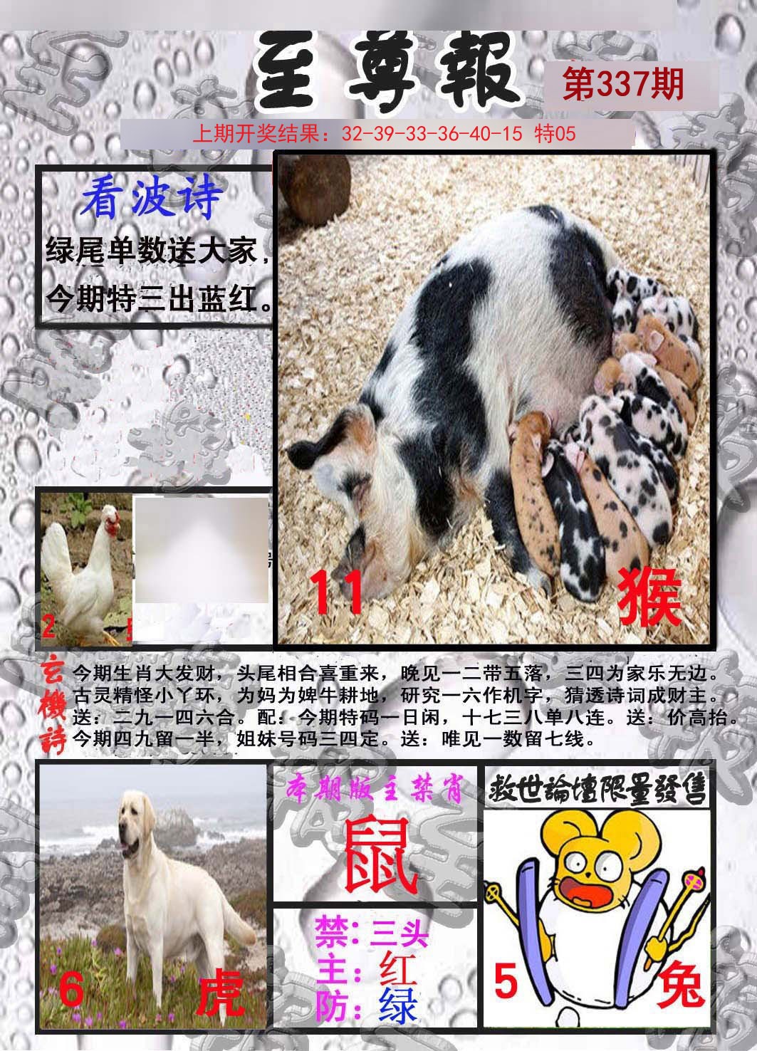 2024337期至尊报