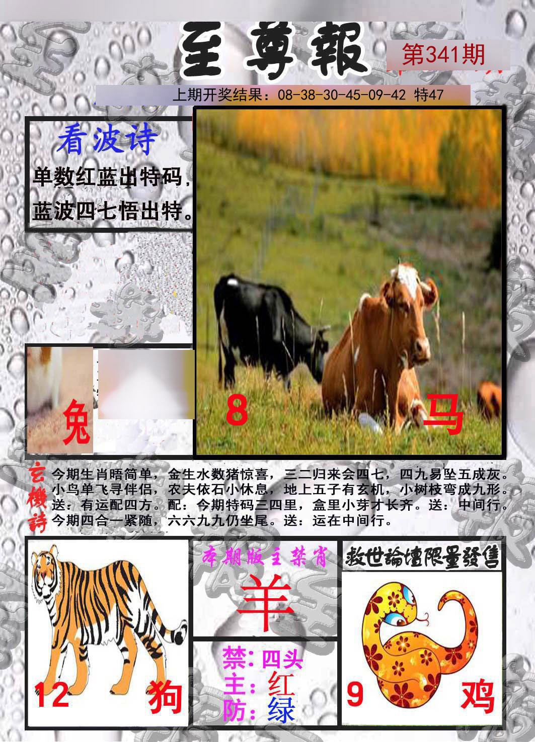 2024341期至尊报