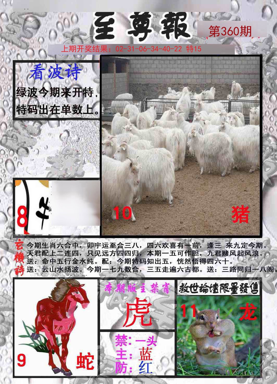 2024360期至尊报