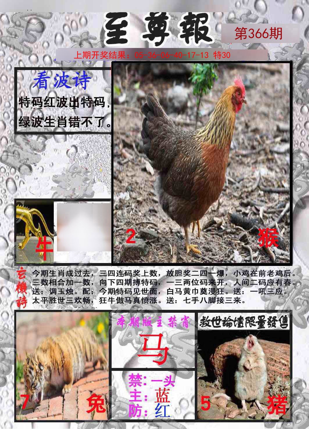 2024366期至尊报